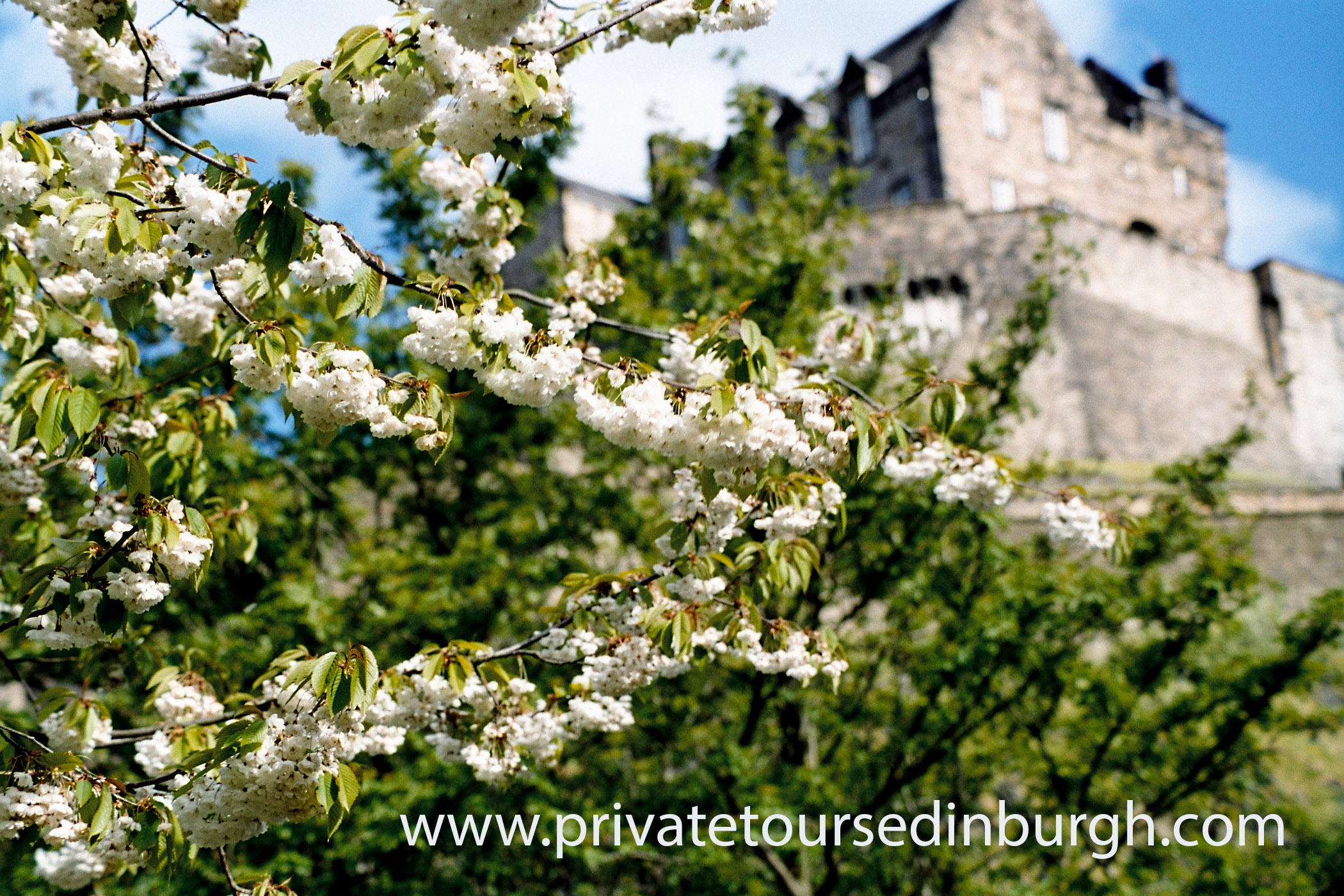 Heartrending stories from Every Corner of the Globe